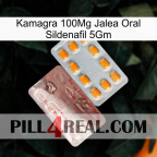 Kamagra 100Mg Oral Jelly Sildenafil 5Gm new13